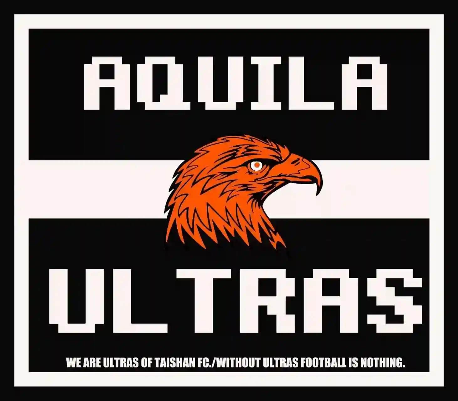 AQUILA ULTRA DESTRA 山东泰山看台助威